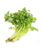 CELERY CHINESE LEAFS -芹菜 - 1-1.2 KG / PKT